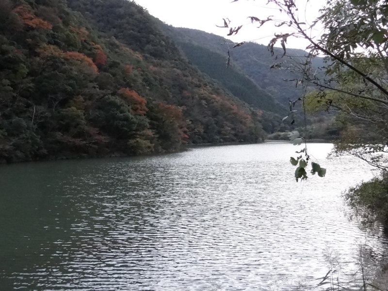 f:id:kazu_ma634:20131126223024j:image:w400 f:id:kazu_ma634:20131126223024j:image:w400