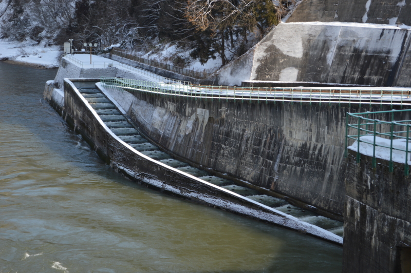 f:id:kazu_ma634:20140211181800j:image:w400 f:id:kazu_ma634:20140211181800j:image:w400