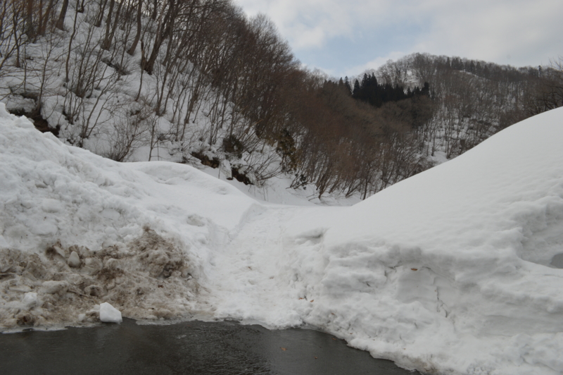 f:id:kazu_ma634:20140319163858j:image:w400 f:id:kazu_ma634:20140319163858j:image:w400