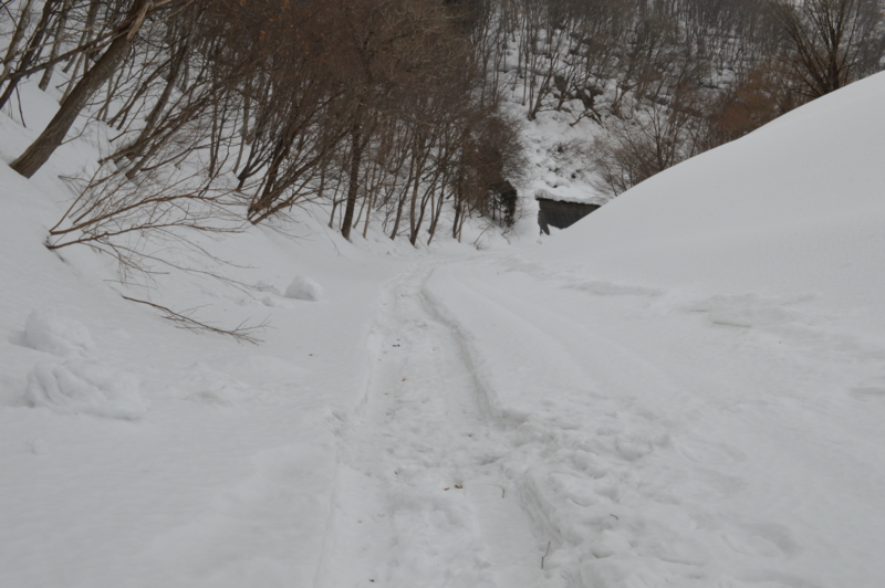 f:id:kazu_ma634:20140319163859j:image:w400 f:id:kazu_ma634:20140319163859j:image:w400