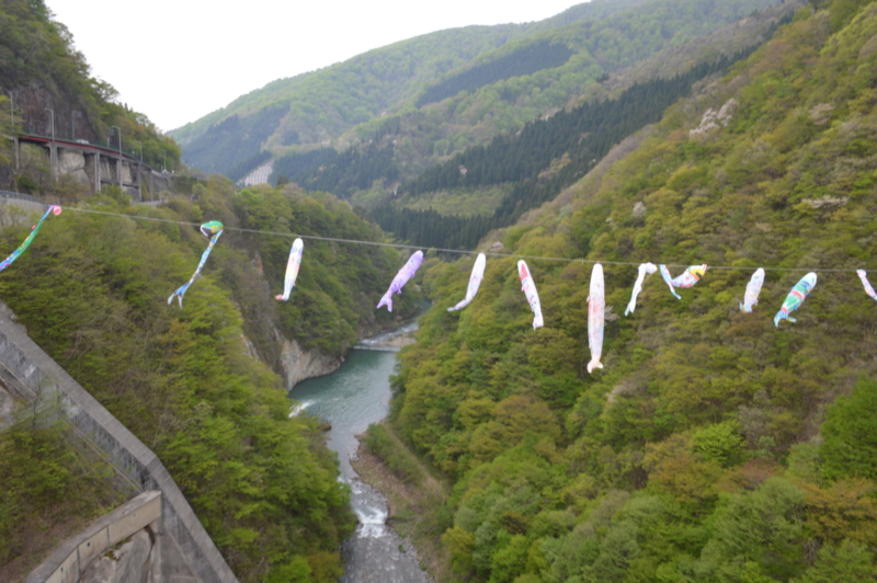 f:id:kazu_ma634:20140625083406j:image:w400 f:id:kazu_ma634:20140625083406j:image:w400