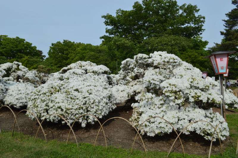 f:id:kazu_ma634:20140721235852j:image:w400 f:id:kazu_ma634:20140721235852j:image:w400