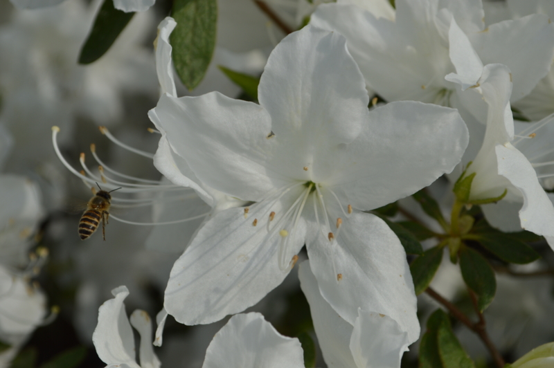 f:id:kazu_ma634:20140721235853j:image:w400 f:id:kazu_ma634:20140721235853j:image:w400