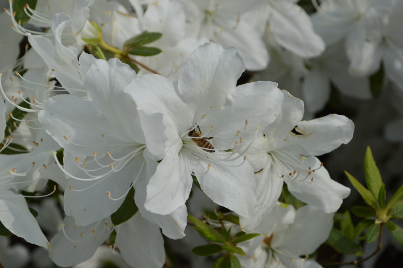 f:id:kazu_ma634:20140721235854j:image:w400 f:id:kazu_ma634:20140721235854j:image:w400