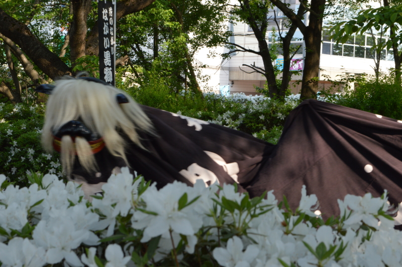 f:id:kazu_ma634:20140723001028j:image:w400 f:id:kazu_ma634:20140723001028j:image:w400