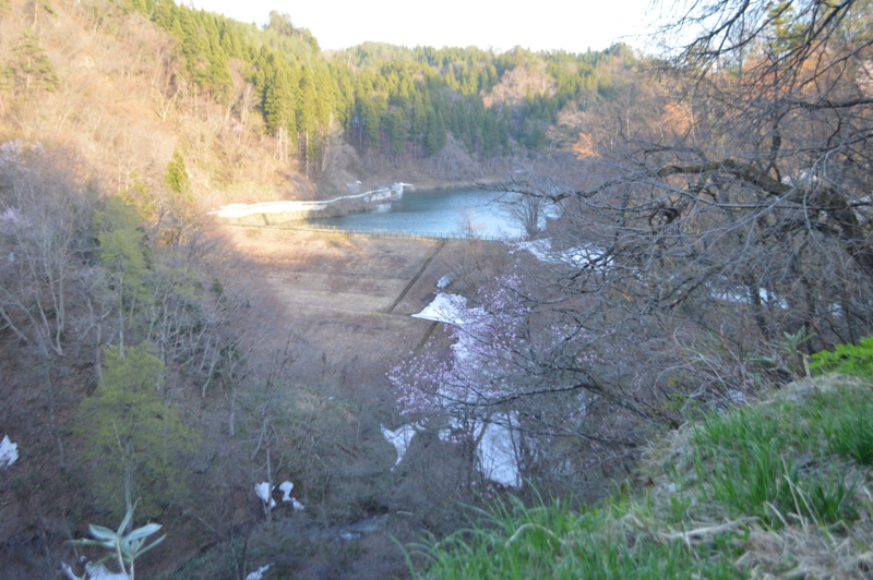 f:id:kazu_ma634:20150809232549j:image:w400 f:id:kazu_ma634:20150809232549j:image:w400