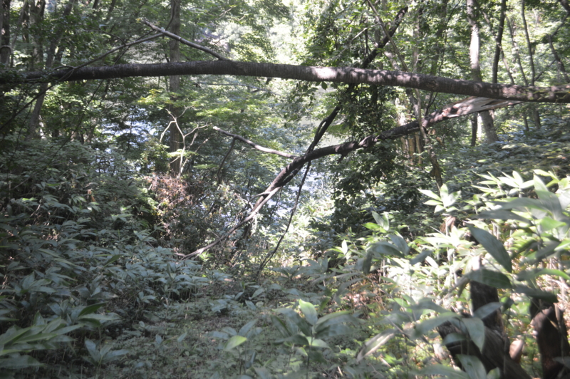 f:id:kazu_ma634:20151021002256j:image:w400 f:id:kazu_ma634:20151021002256j:image:w400
