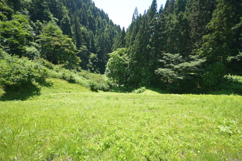 f:id:kazu_ma634:20151021213557j:image:w400 f:id:kazu_ma634:20151021213557j:image:w400