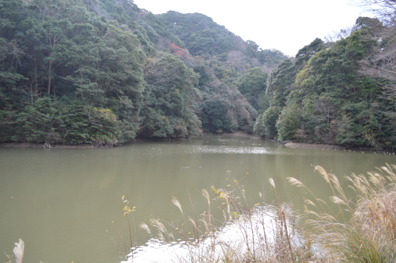f:id:kazu_ma634:20160124064201j:image:w400 f:id:kazu_ma634:20160124064201j:image:w400