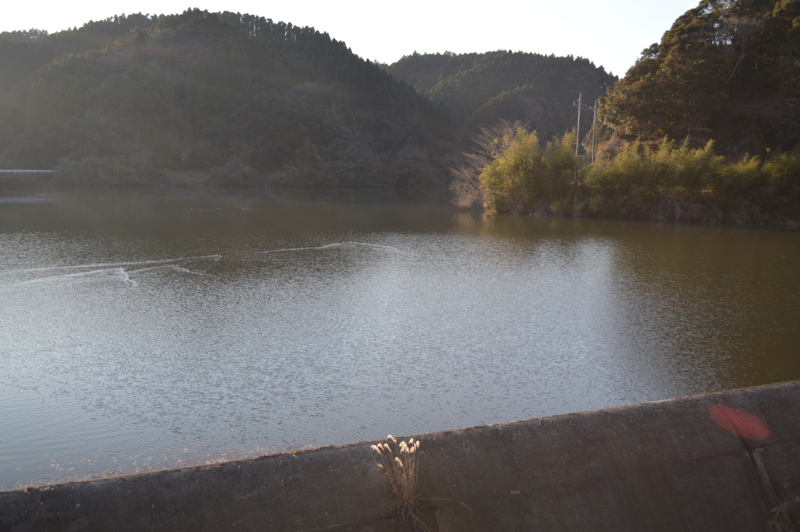 f:id:kazu_ma634:20160126012424j:image:w400