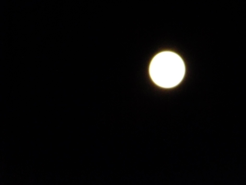 f:id:kazuko-9195:20150907143251j:image f:id:kazuko-9195:20150907143251j:image