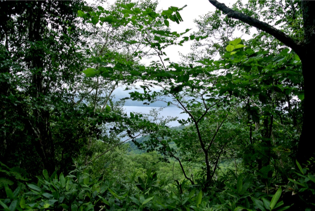 f:id:kazumali:20150809183857j:image f:id:kazumali:20150809183857j:image
