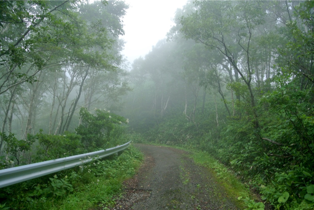 f:id:kazumali:20150809184045j:image f:id:kazumali:20150809184045j:image