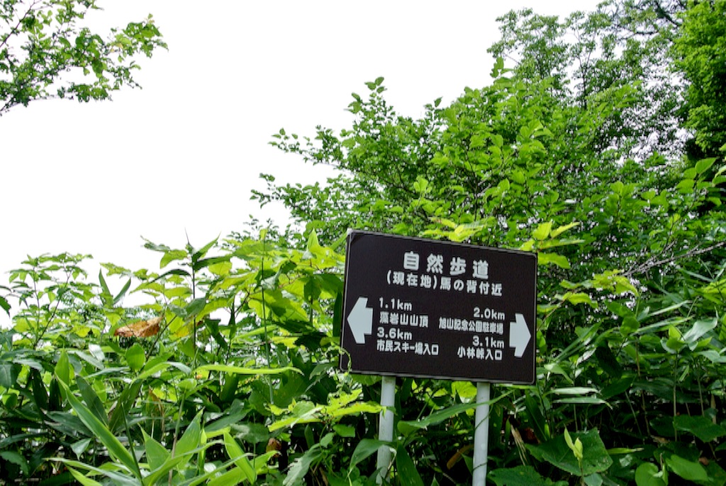 f:id:kazumali:20150812214107j:image f:id:kazumali:20150812214107j:image
