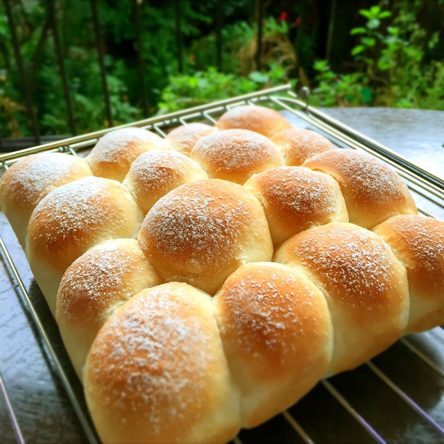 f:id:kazumi-amitie:20150604003259j:image f:id:kazumi-amitie:20150604003259j:image