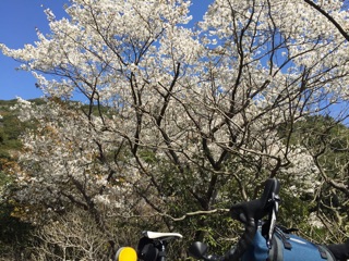 f:id:kazumistu:20150329131804j:plain f:id:kazumistu:20150329131804j:plain