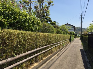 f:id:kazumistu:20150419154800j:plain f:id:kazumistu:20150419154800j:plain
