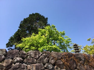 f:id:kazumistu:20150419154818j:plain f:id:kazumistu:20150419154818j:plain