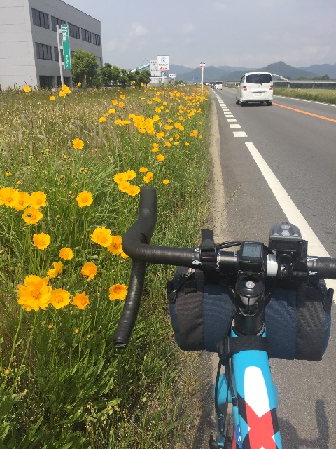 f:id:kazumistu:20150522101916j:image f:id:kazumistu:20150522101916j:image