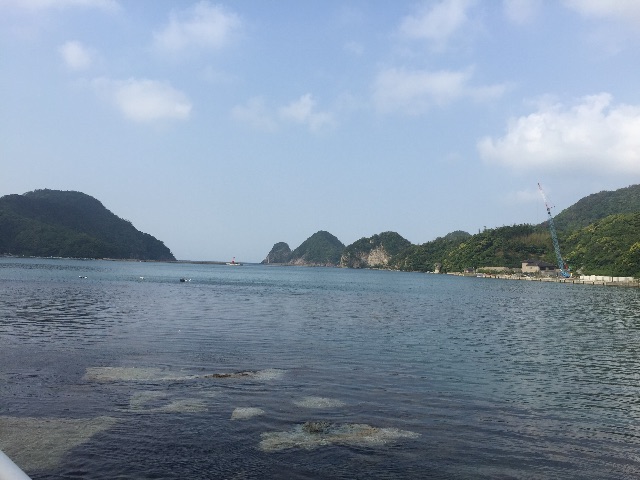 f:id:kazumistu:20150522102342j:image f:id:kazumistu:20150522102342j:image