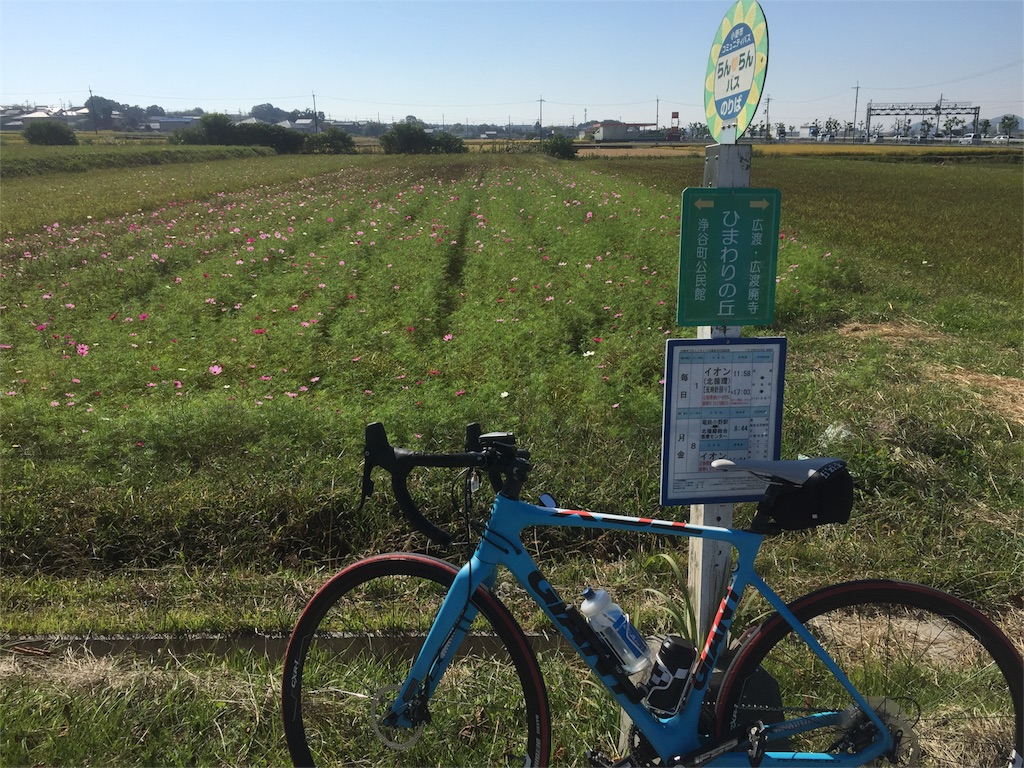 f:id:kazumistu:20151020164249j:image f:id:kazumistu:20151020164249j:image
