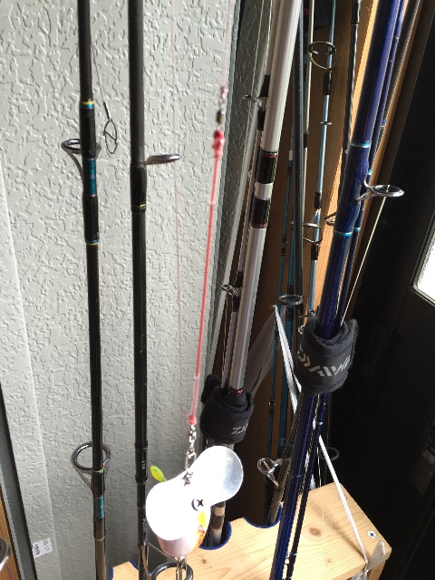 f:id:kazunokomuten:20150623002743j:image f:id:kazunokomuten:20150623002743j:image
