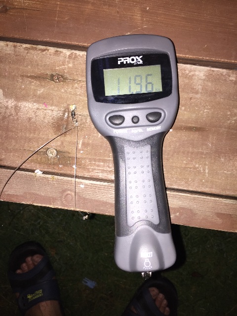 f:id:kazunokomuten:20150628003829j:image f:id:kazunokomuten:20150628003829j:image