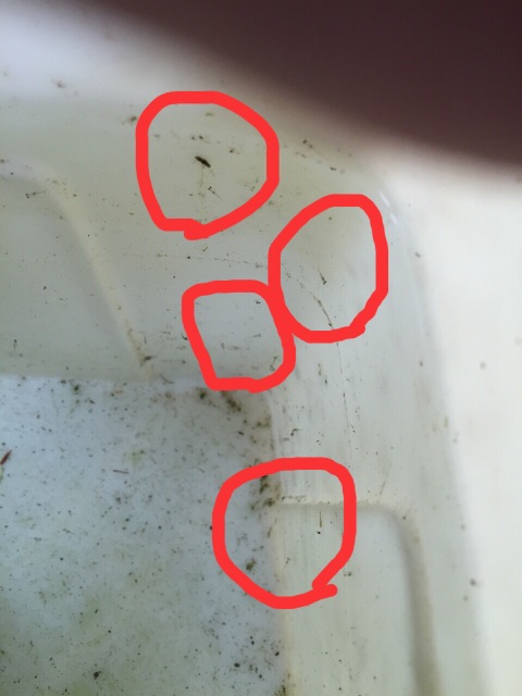 f:id:kazunokomuten:20150701111345j:image f:id:kazunokomuten:20150701111345j:image