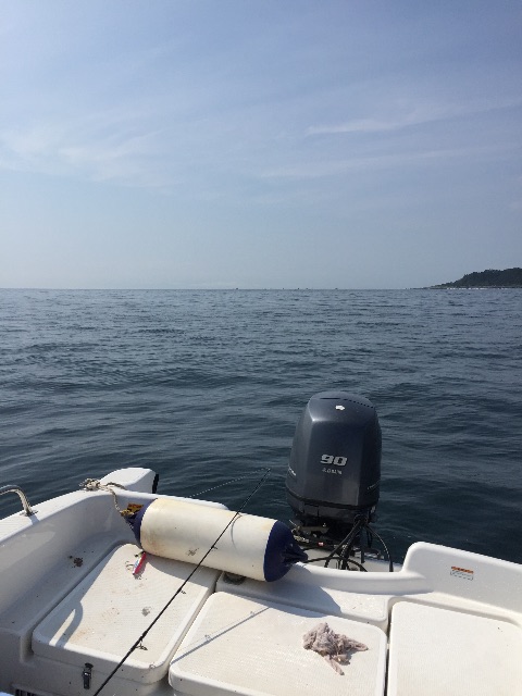 f:id:kazunokomuten:20150712195809j:image f:id:kazunokomuten:20150712195809j:image