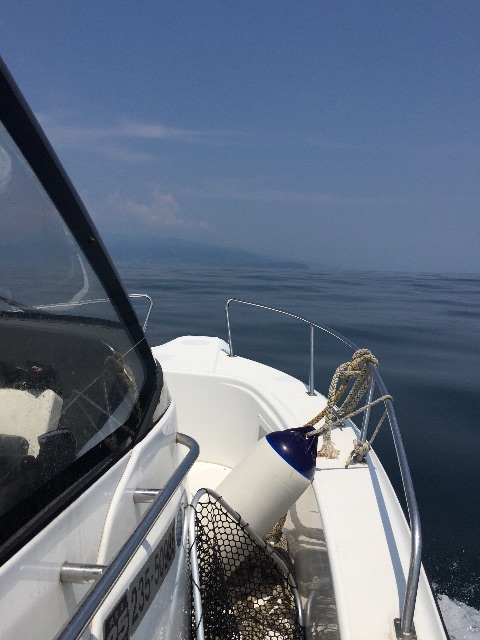 f:id:kazunokomuten:20150712195830j:image f:id:kazunokomuten:20150712195830j:image