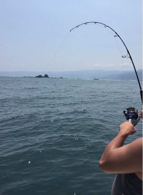 f:id:kazunokomuten:20150712201939j:image f:id:kazunokomuten:20150712201939j:image