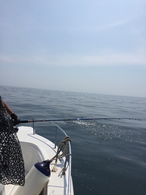 f:id:kazunokomuten:20150712202119j:image f:id:kazunokomuten:20150712202119j:image
