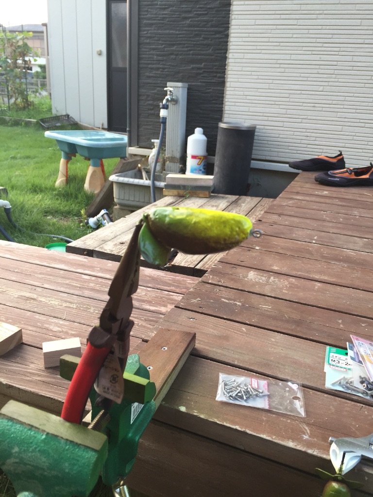 f:id:kazunokomuten:20150727235357j:image f:id:kazunokomuten:20150727235357j:image