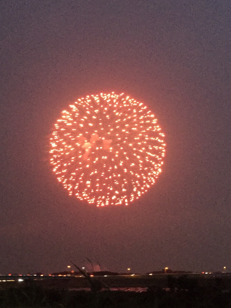 f:id:kazunokomuten:20150802171220j:image f:id:kazunokomuten:20150802171220j:image
