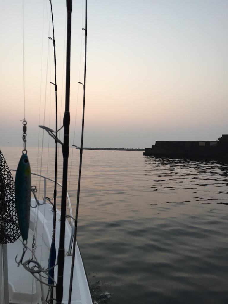 f:id:kazunokomuten:20150802171931j:image f:id:kazunokomuten:20150802171931j:image