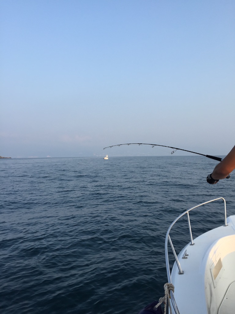 f:id:kazunokomuten:20150803124853j:image f:id:kazunokomuten:20150803124853j:image