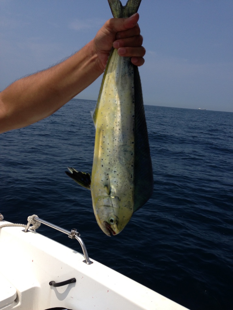 f:id:kazunokomuten:20150803125031j:image f:id:kazunokomuten:20150803125031j:image