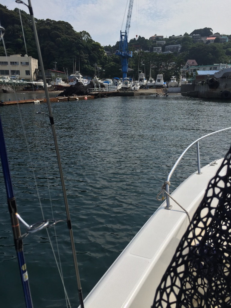 f:id:kazunokomuten:20150816210551j:image f:id:kazunokomuten:20150816210551j:image