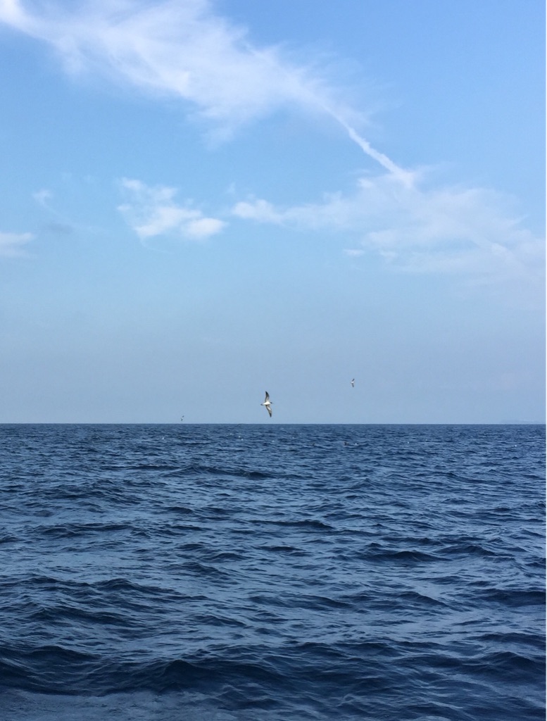 f:id:kazunokomuten:20150816213928j:image f:id:kazunokomuten:20150816213928j:image