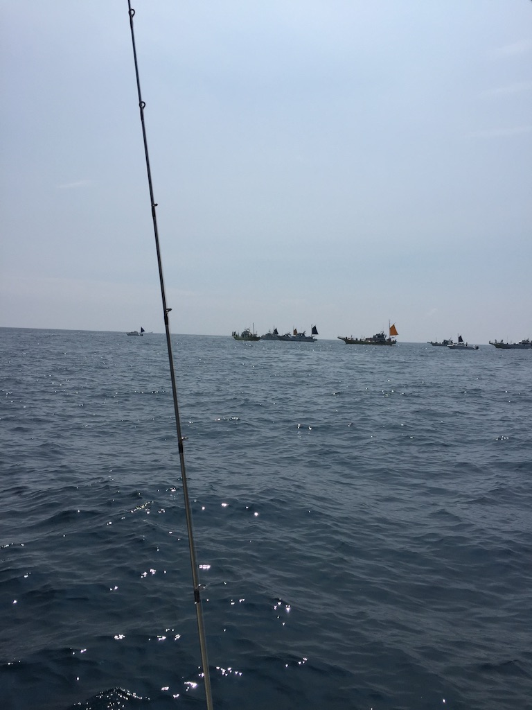 f:id:kazunokomuten:20150816214917j:image f:id:kazunokomuten:20150816214917j:image