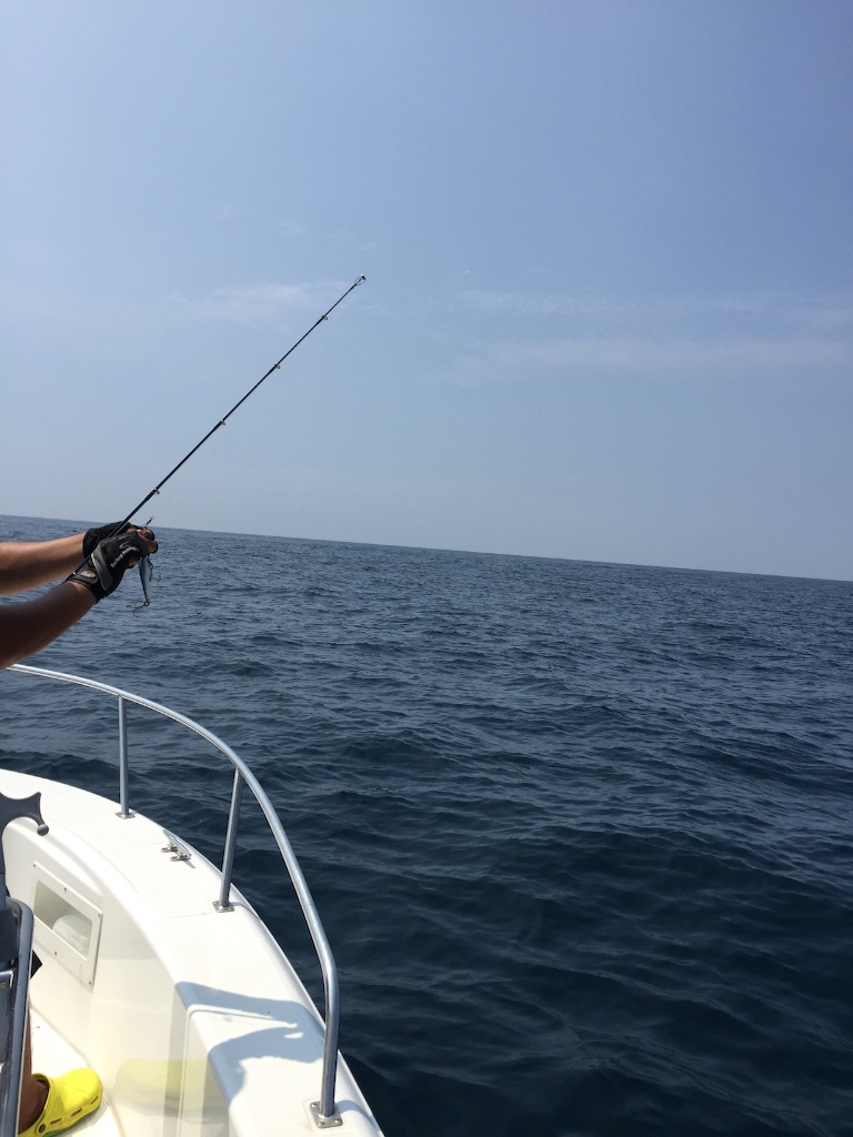 f:id:kazunokomuten:20150816221127j:image f:id:kazunokomuten:20150816221127j:image