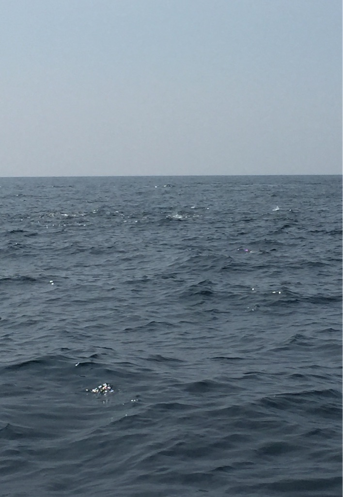 f:id:kazunokomuten:20150816221548j:image f:id:kazunokomuten:20150816221548j:image