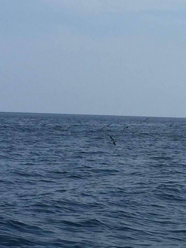 f:id:kazunokomuten:20150816221752j:image f:id:kazunokomuten:20150816221752j:image