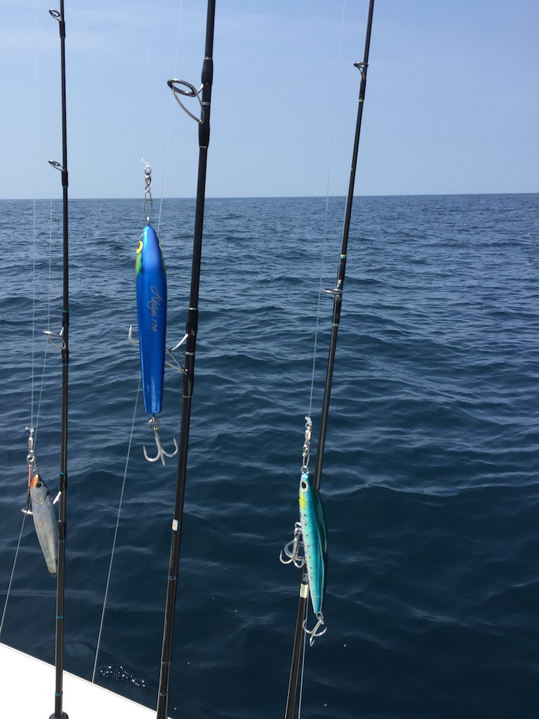 f:id:kazunokomuten:20150816222729j:image f:id:kazunokomuten:20150816222729j:image
