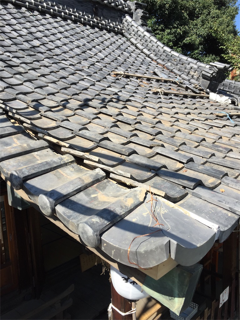 f:id:kazunokomuten:20151107114539j:image f:id:kazunokomuten:20151107114539j:image