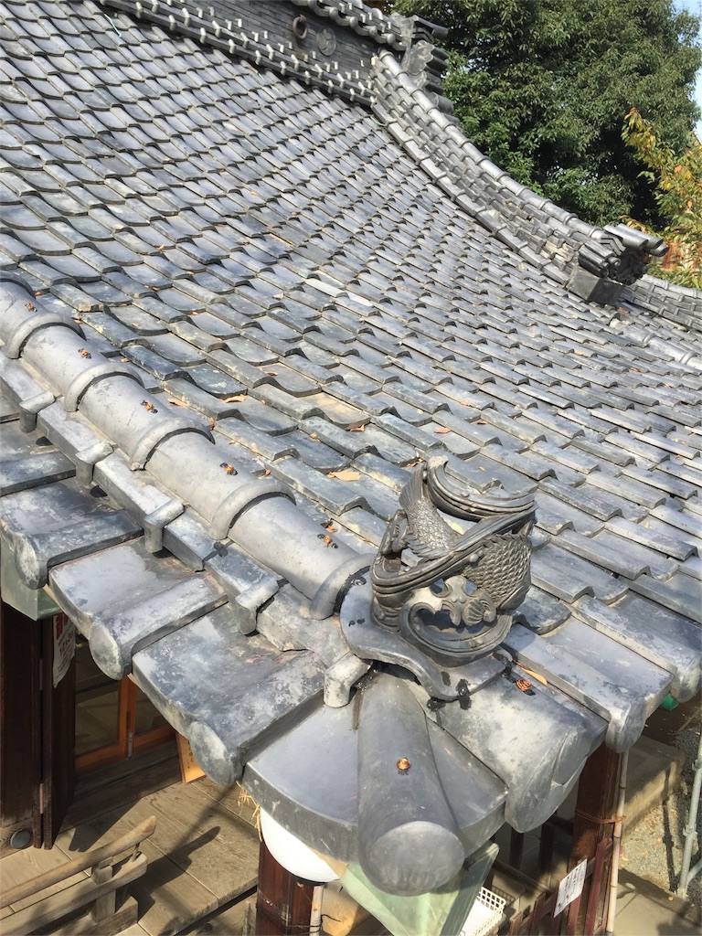 f:id:kazunokomuten:20151107114911j:image f:id:kazunokomuten:20151107114911j:image