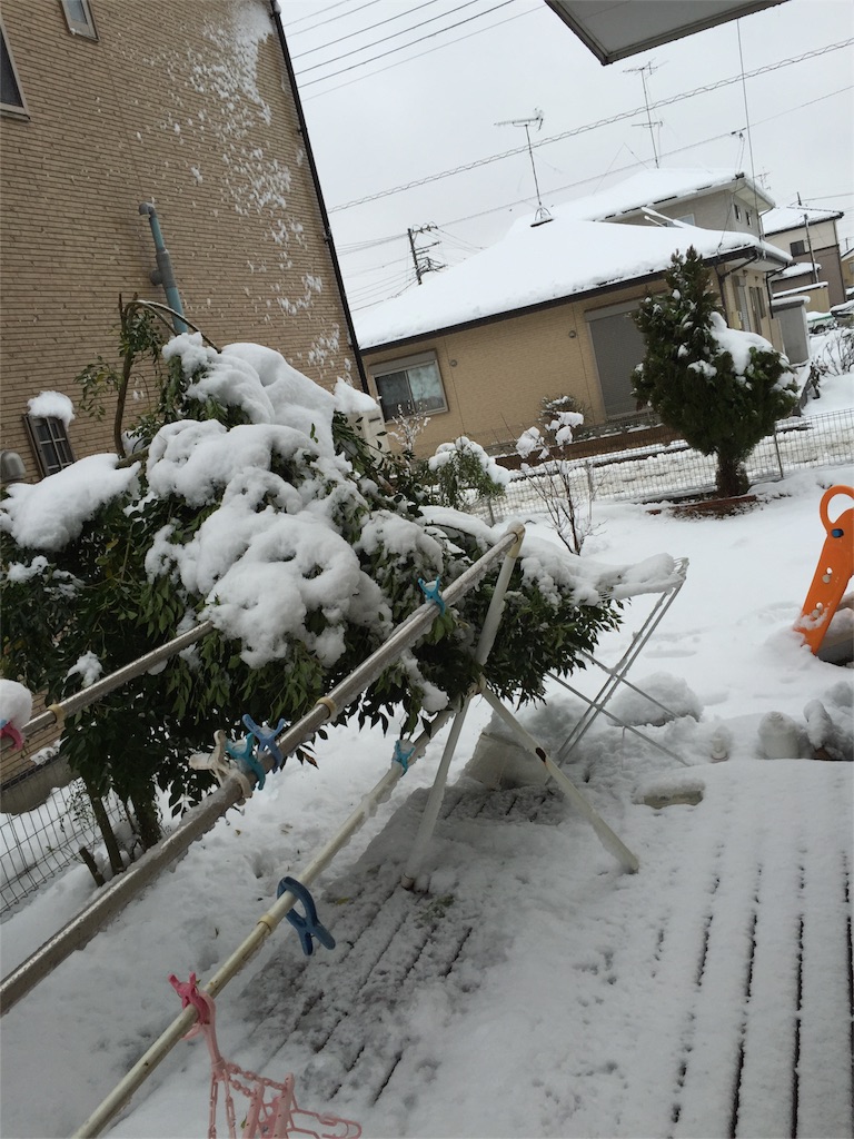 f:id:kazunokomuten:20160118090926j:image f:id:kazunokomuten:20160118090926j:image