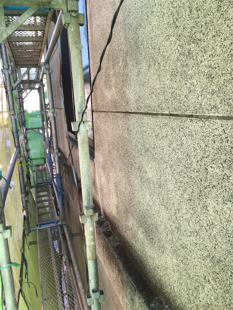f:id:kazunokomuten:20160122105246j:image f:id:kazunokomuten:20160122105246j:image
