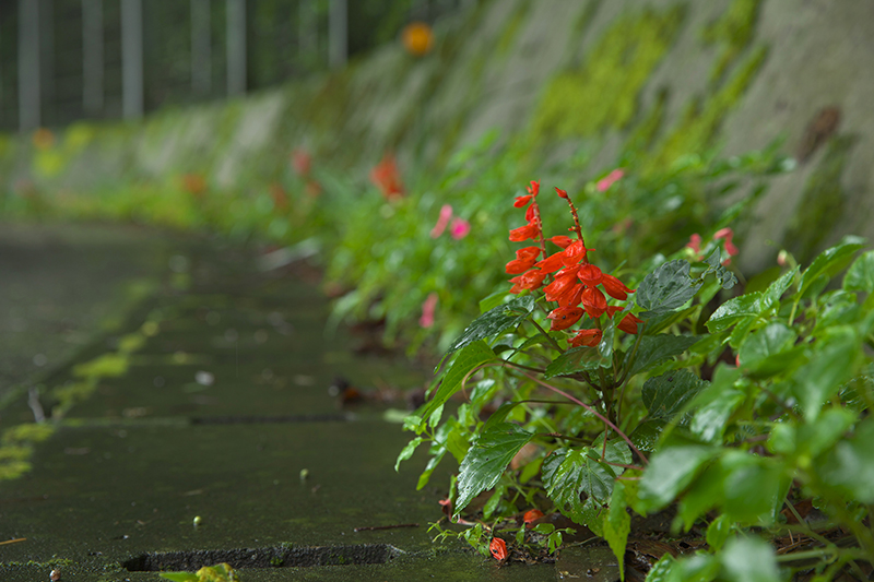f:id:kazunori-okamura:20140913140247j:plain f:id:kazunori-okamura:20140913140247j:plain