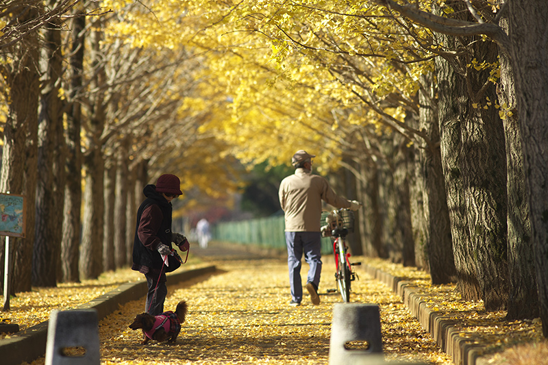 f:id:kazunori-okamura:20141123163914j:plain f:id:kazunori-okamura:20141123163914j:plain